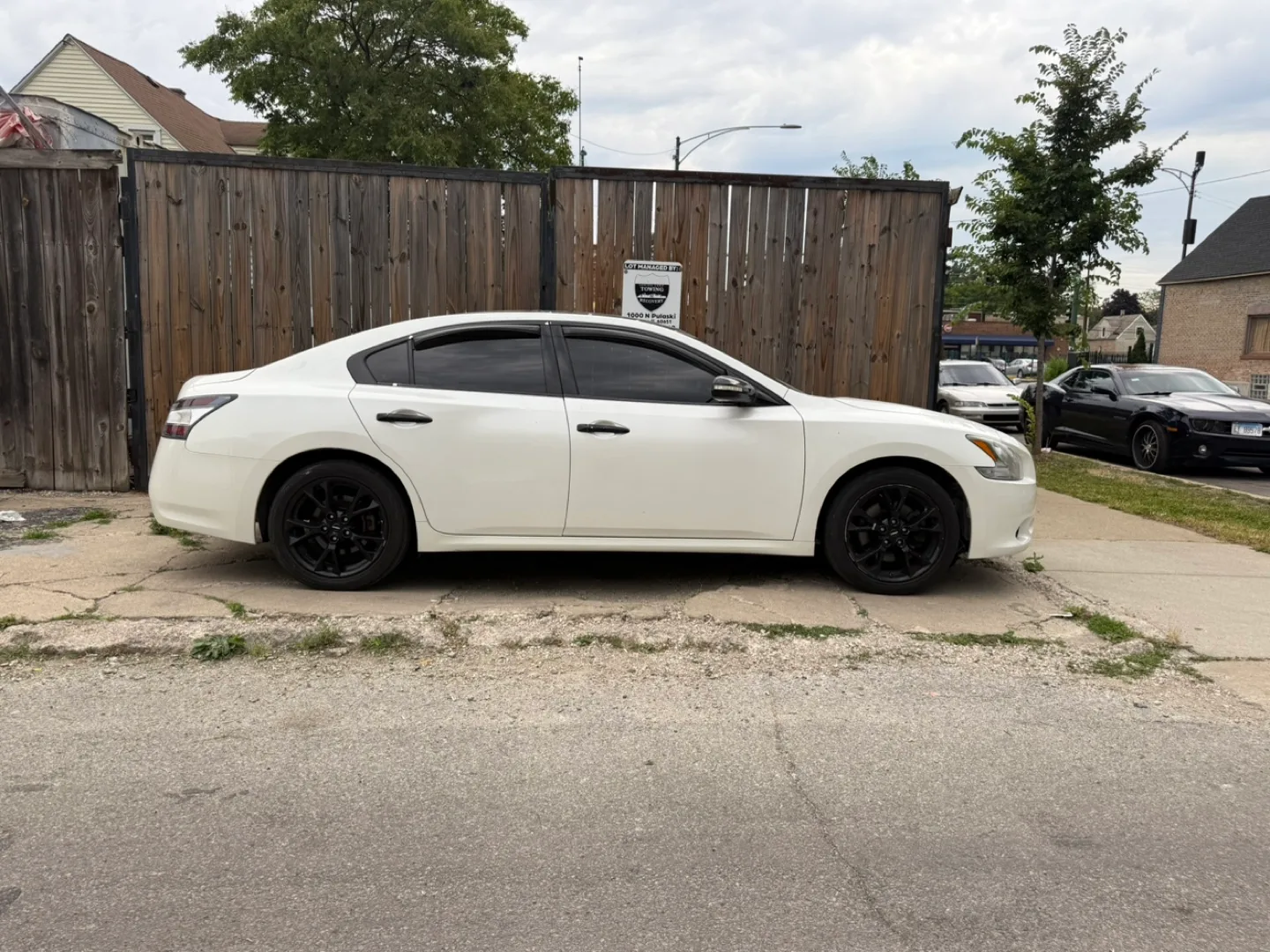 Nissan Maxima - White Sedan thumbnail