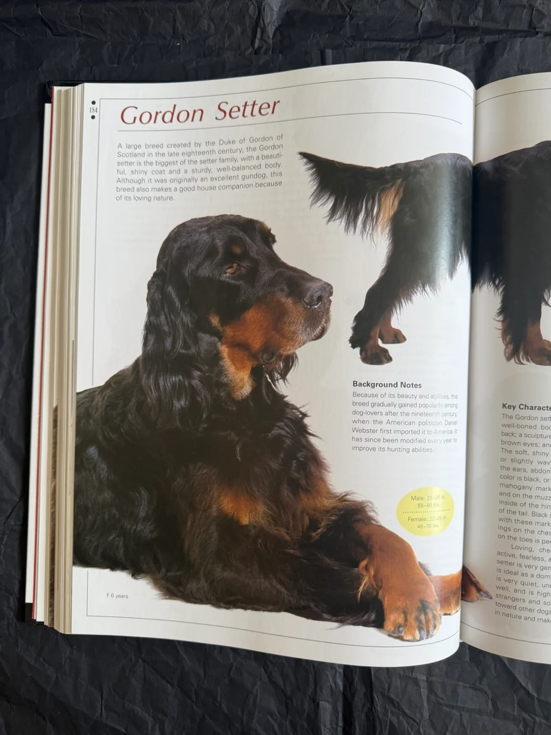 Legacy of the Dog Book: The Ultimate Illustrated Guide!! image indicator(5)