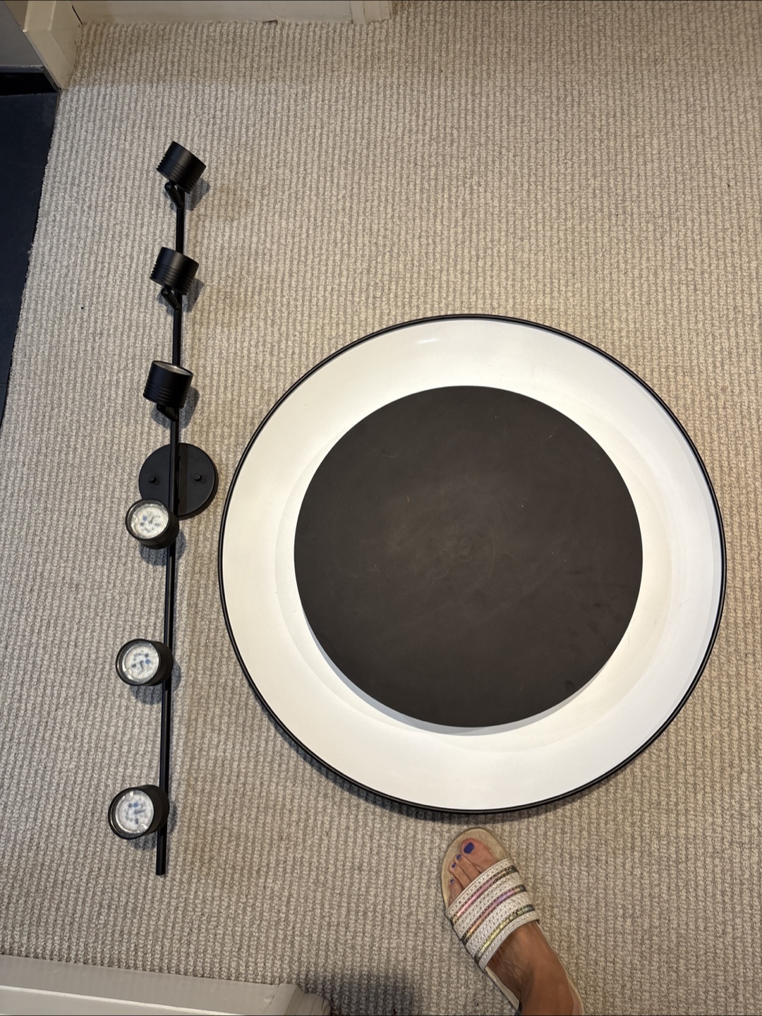Ceiling Lights - Track & Flush Mount