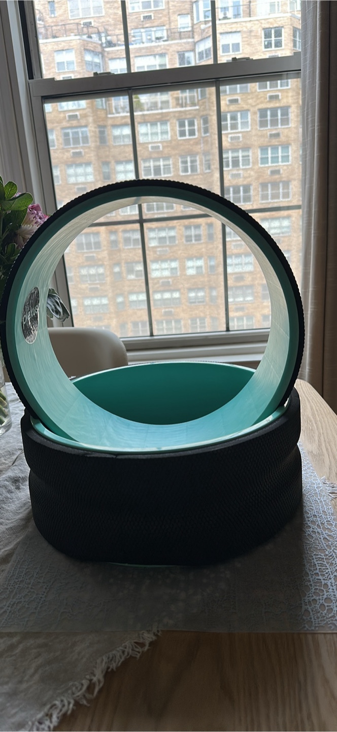 Plexus Wheel Set - Back and Core Exercise - photo 4