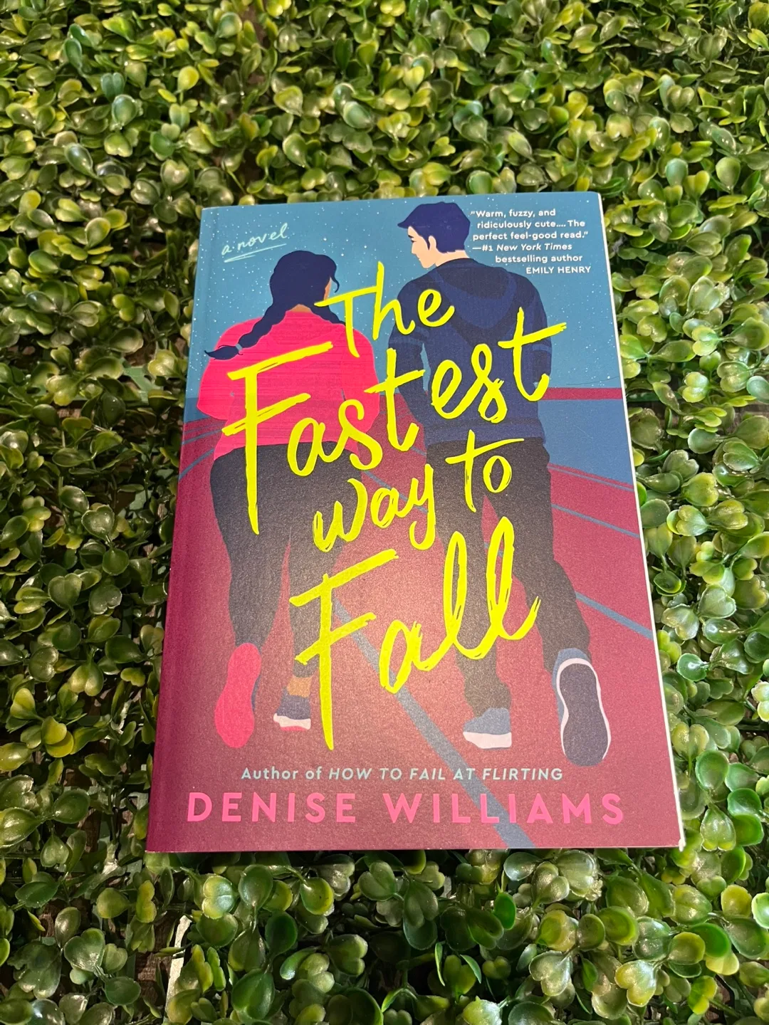 The fastest way to fall Denise Williams Book thumbnail