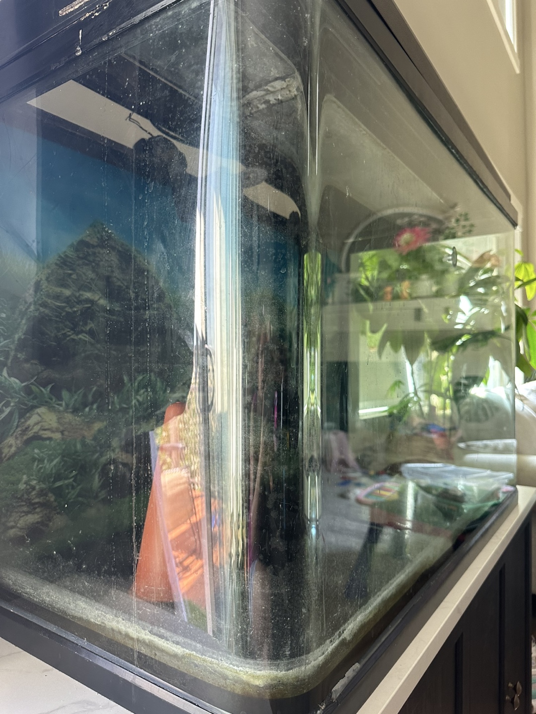 Fish tank| filter system| stand and all other items - photo 3