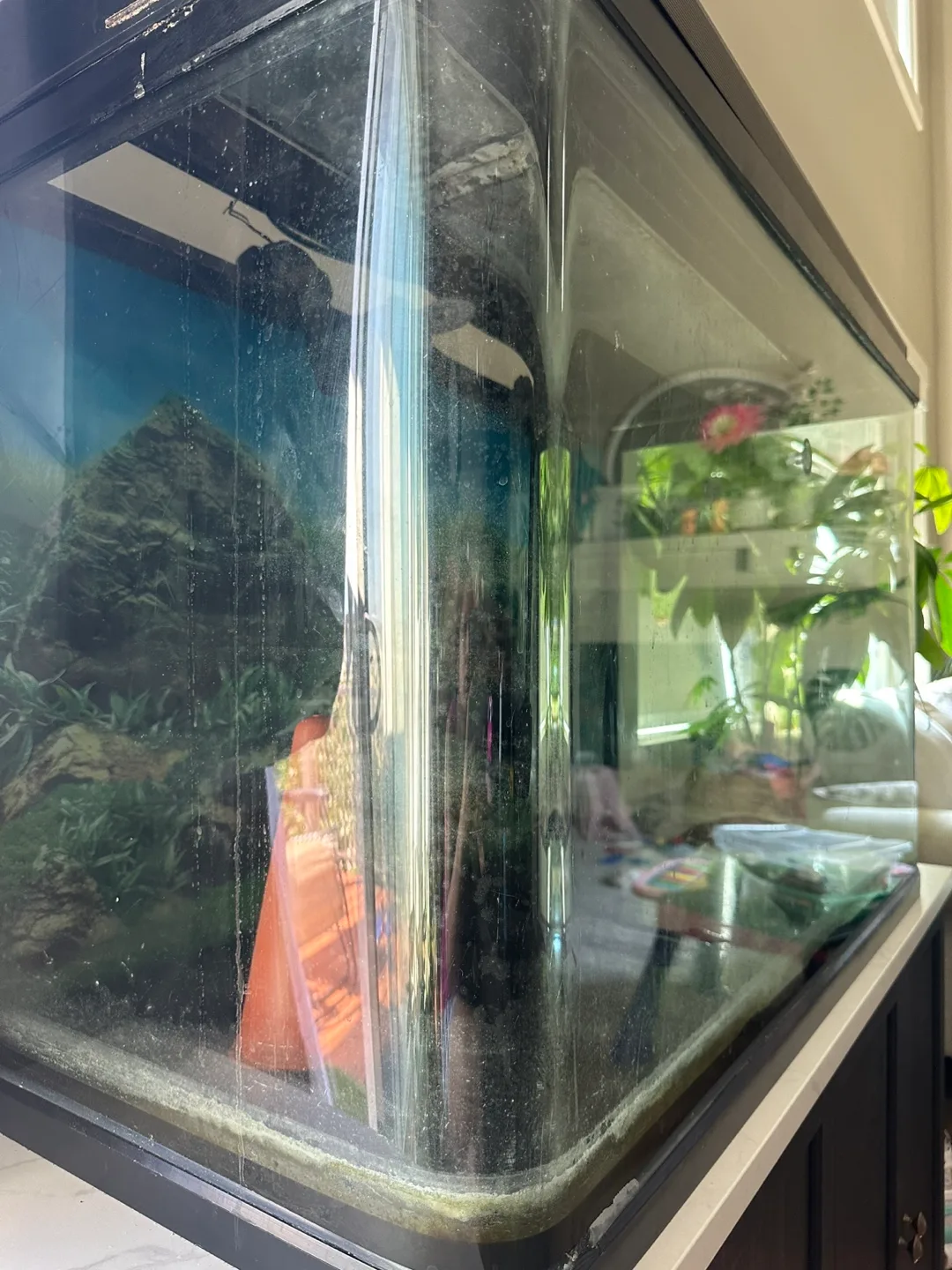 Fish tank| filter system| stand and all other items image indicator(3)