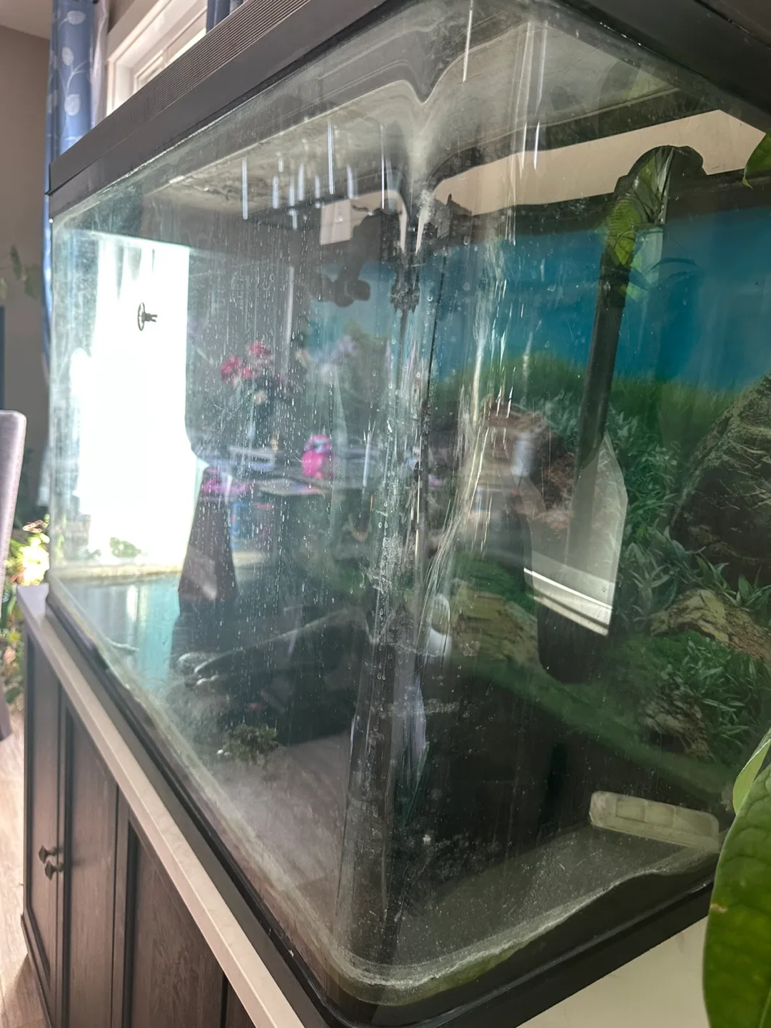 Fish tank| filter system| stand and all other items image indicator(2)