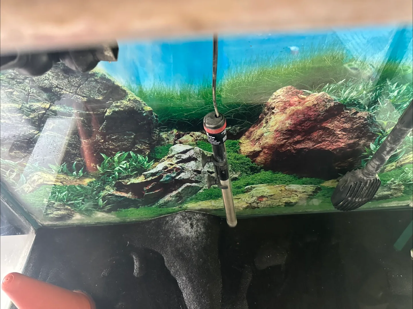 Fish tank| filter system| stand and all other items image indicator(7)