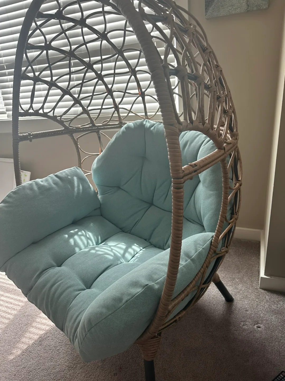 Co. Coco Outdoor Patio Egg Chair