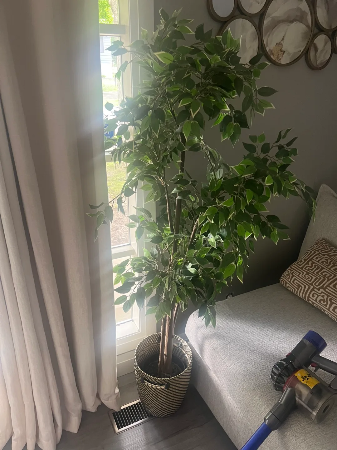 Faux Ficus Tree in Basket image indicator(5)