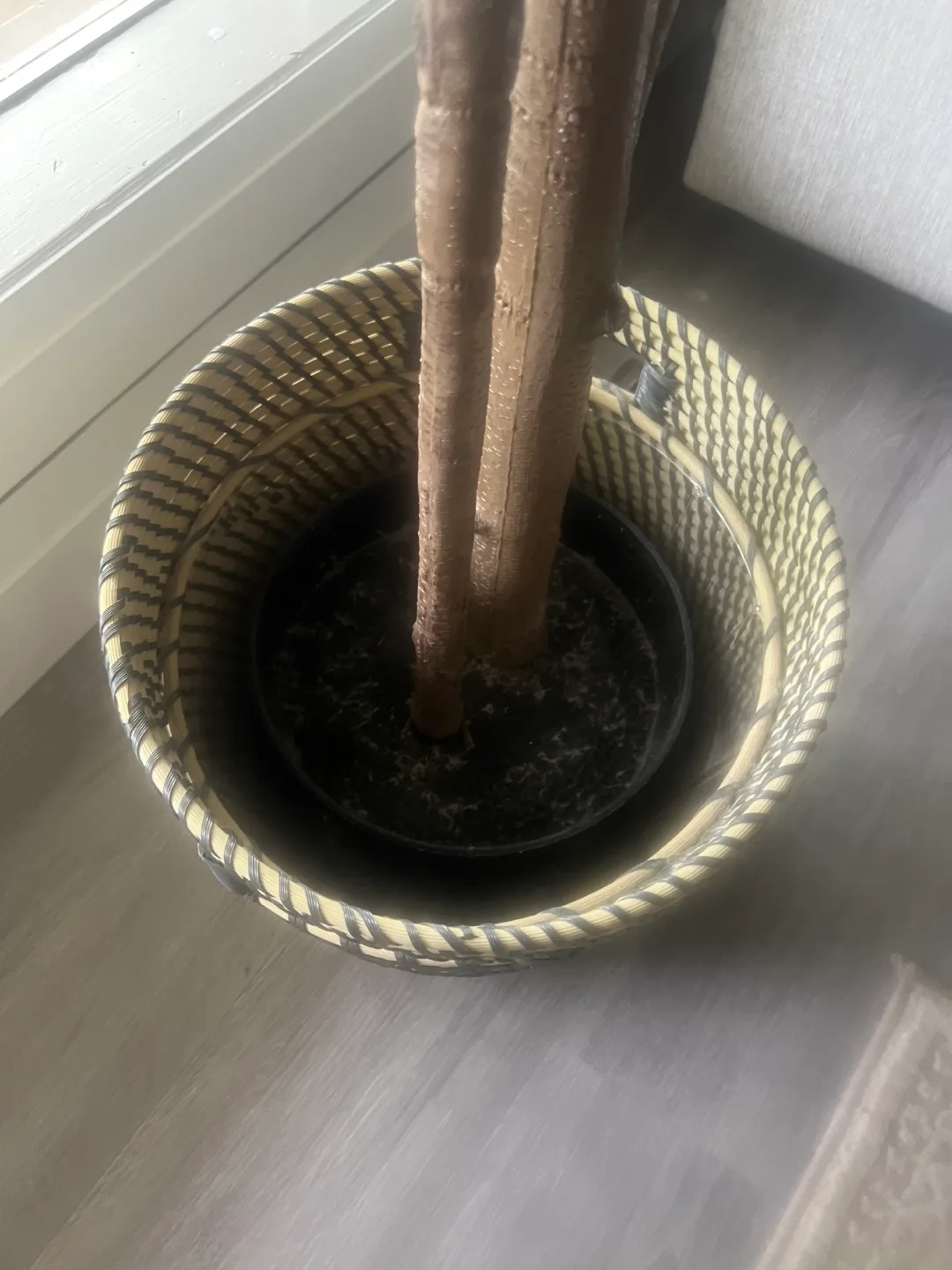 Faux Ficus Tree in Basket image indicator(4)