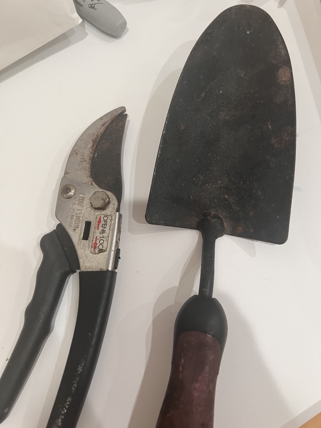 FREE Craftsman Pruning Shears & Trowel