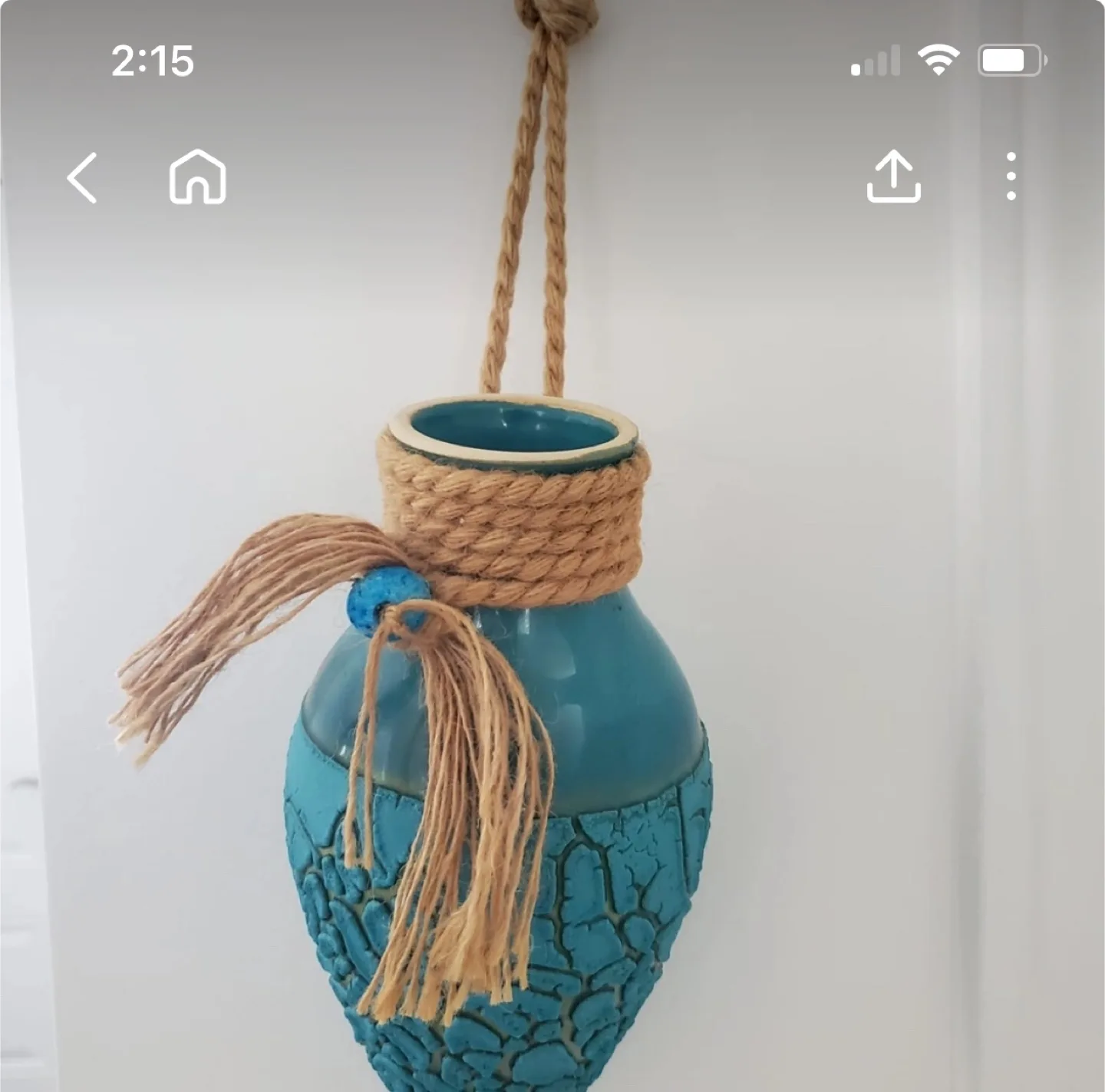 Blue Decorative Hanging Vase thumbnail