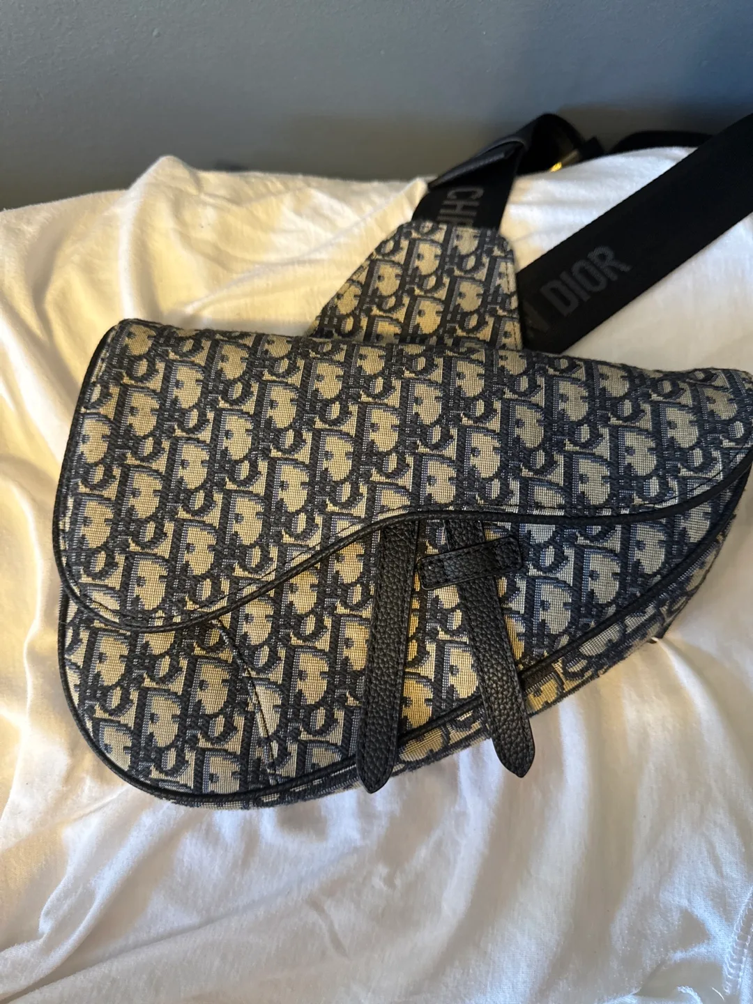 Christian Dior Saddle Bag thumbnail