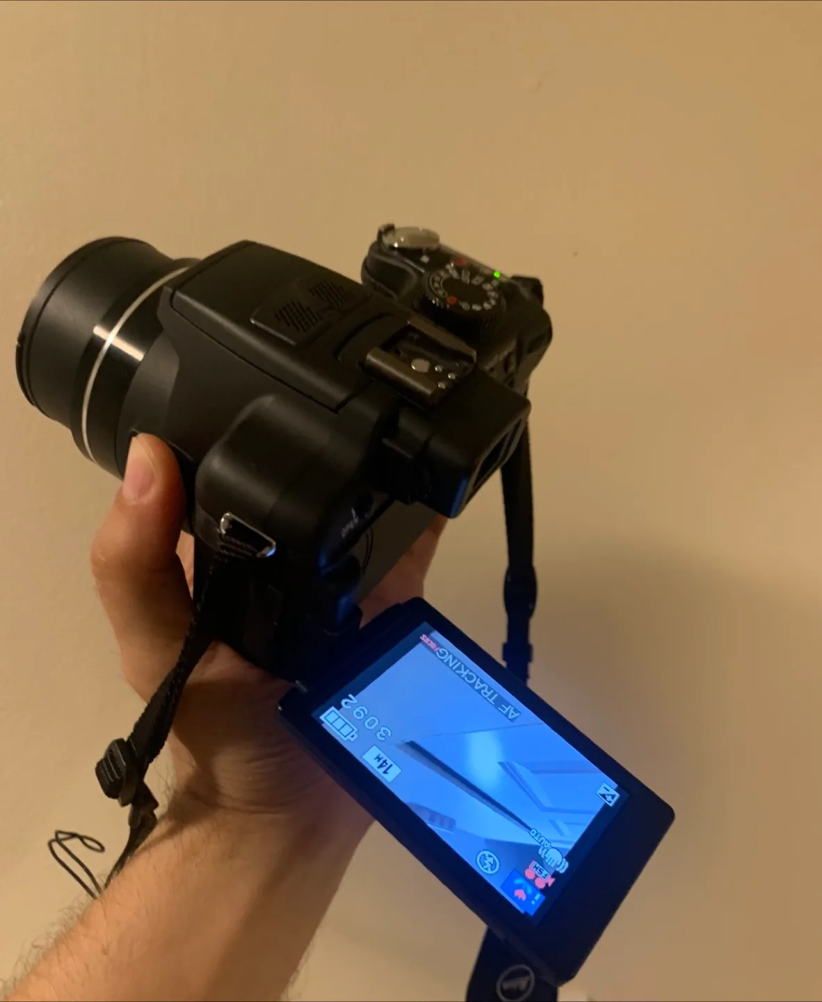 Leica V-LUX 2 Digital Camera image indicator(8)