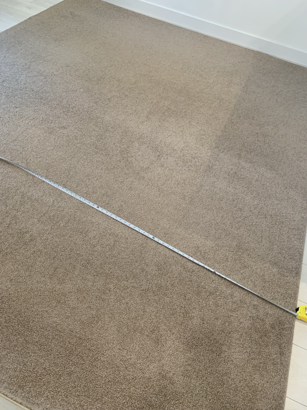 Area Rug - Beige - photo 2