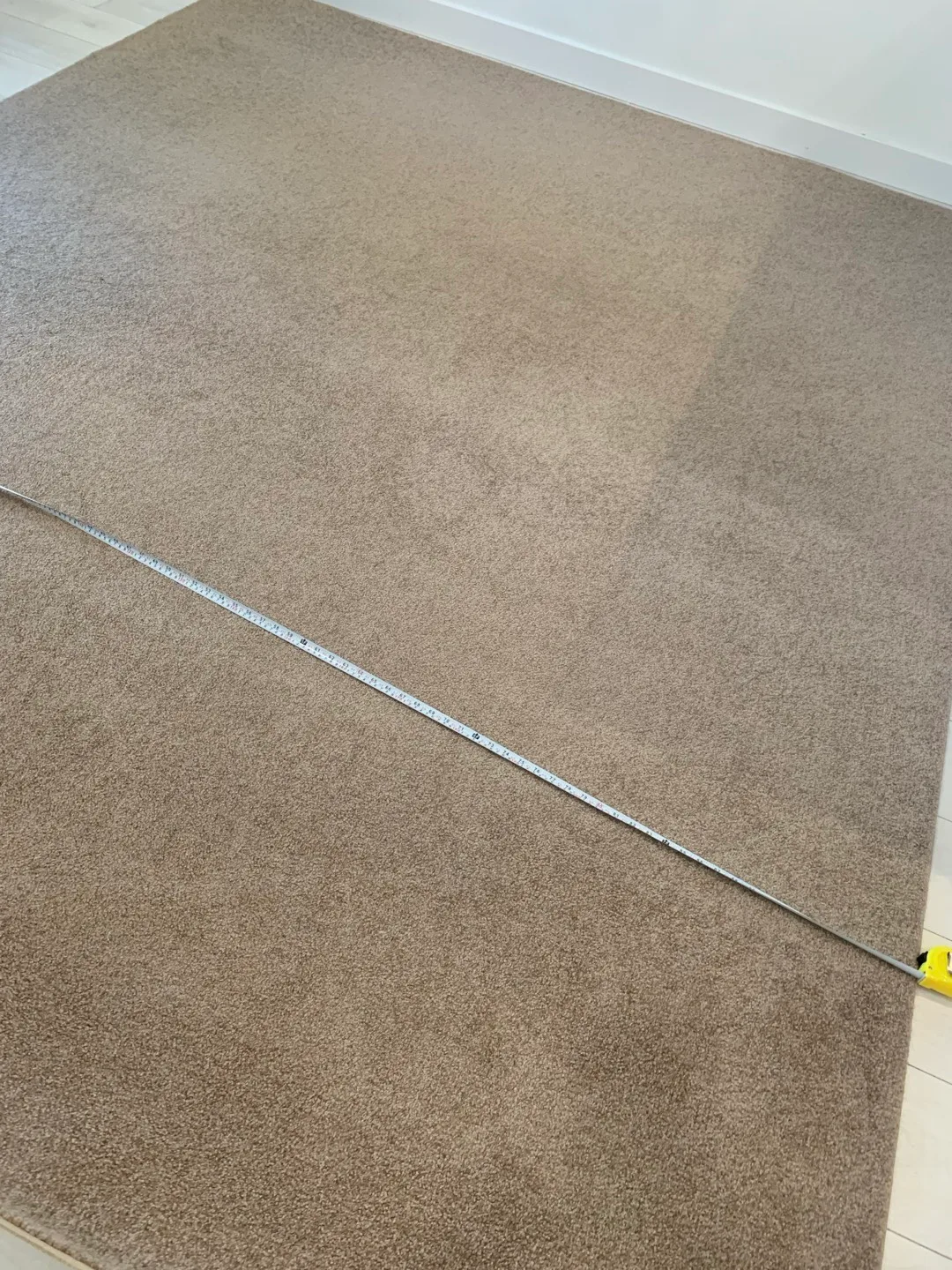 Area Rug - Beige image indicator(2)