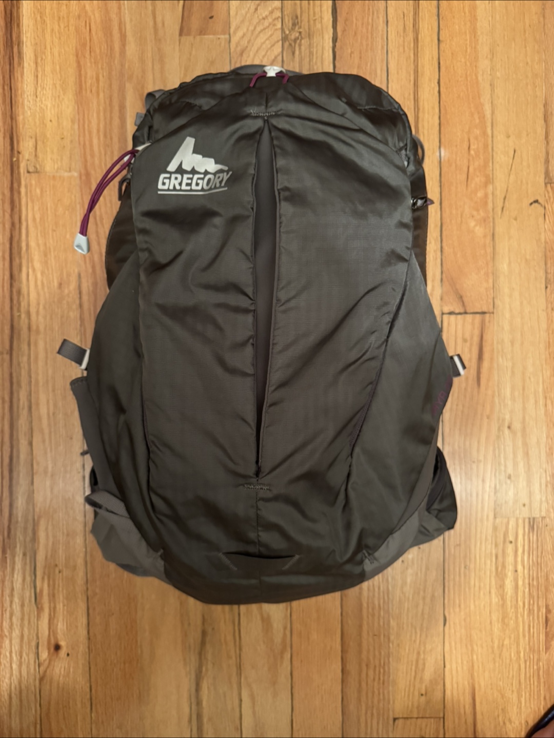 Gregory Backpack