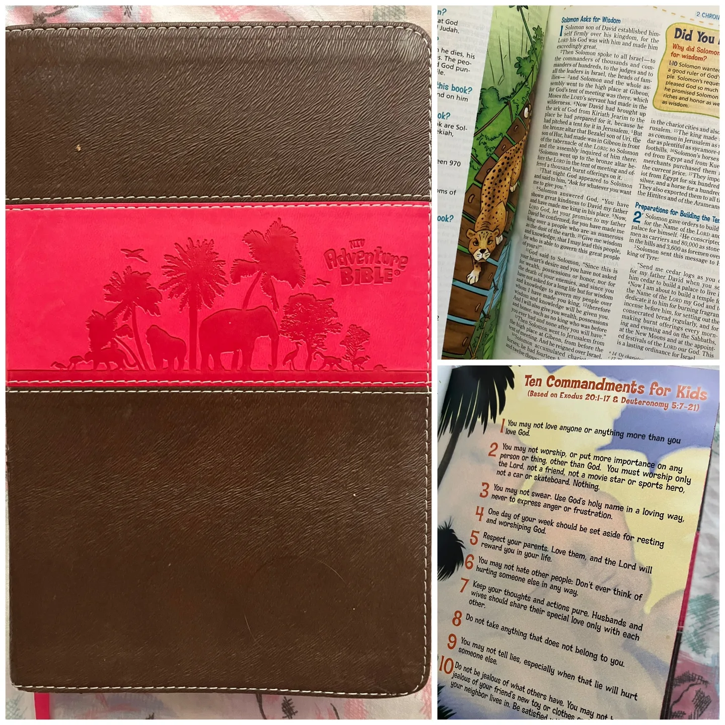 (Book) Adventure Bible - NIV thumbnail