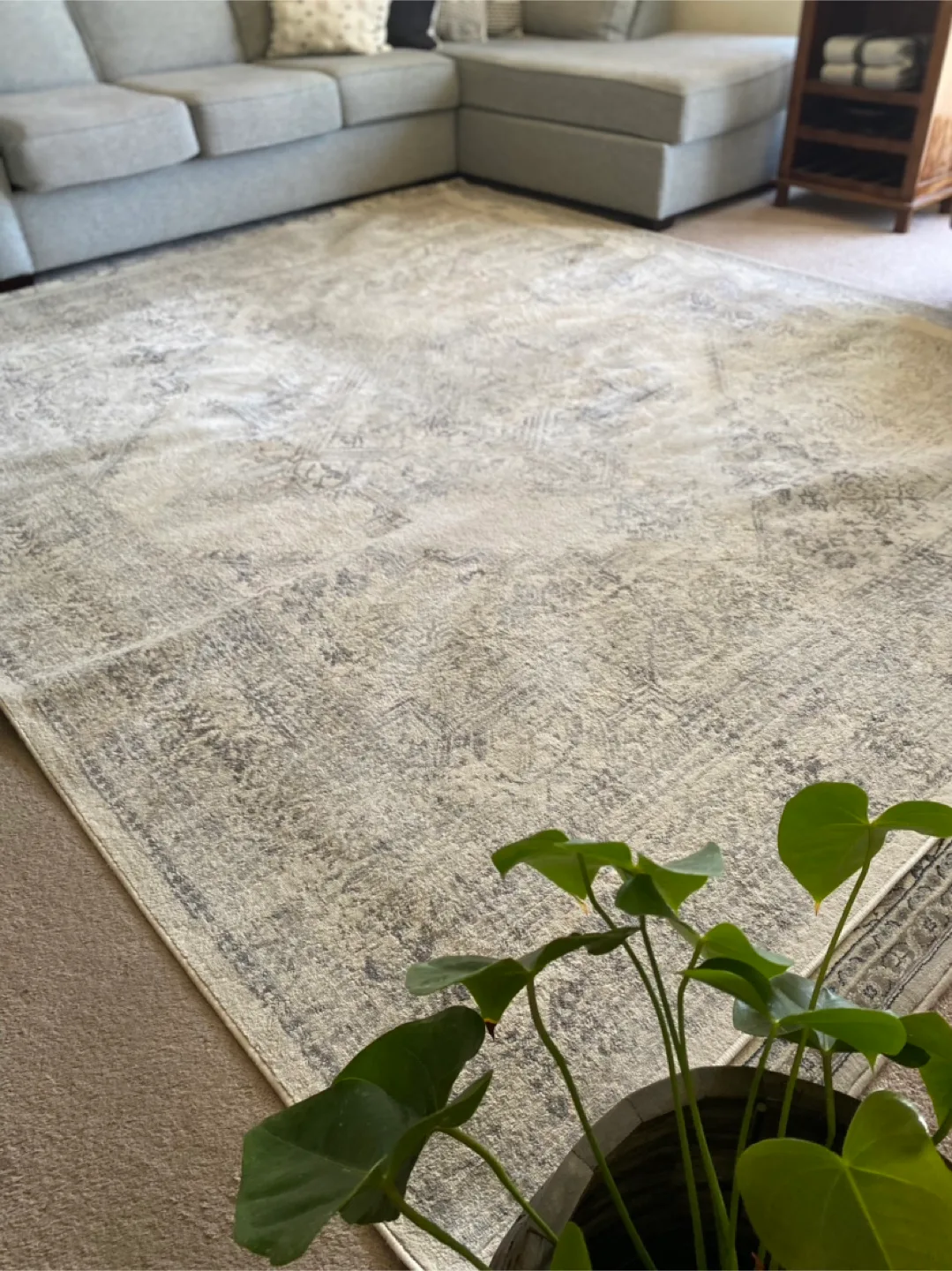 Area Rug - Grey Patterned thumbnail