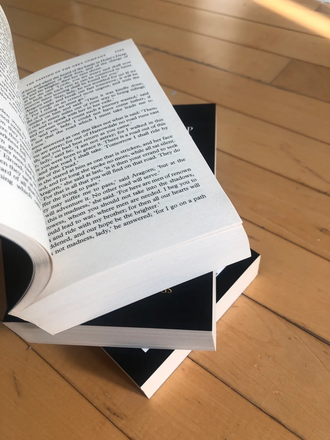 The Lord of the Rings Box Set by J.R.R. Tolkien image indicator(5)