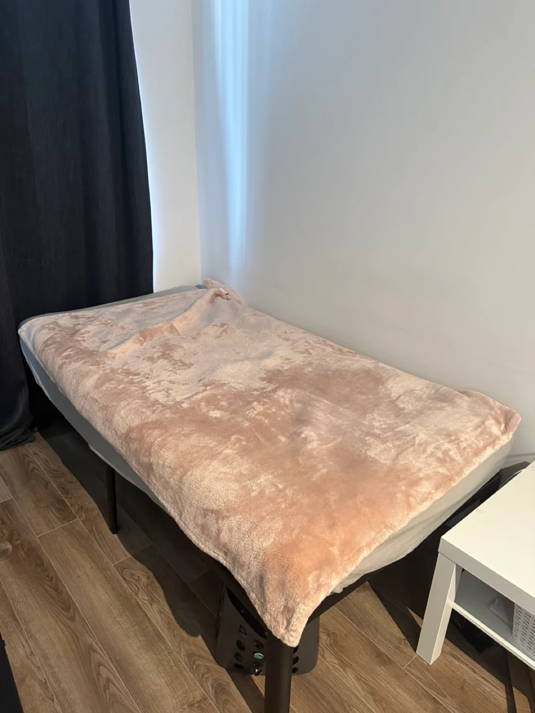 Pink Plush Blanket thumbnail