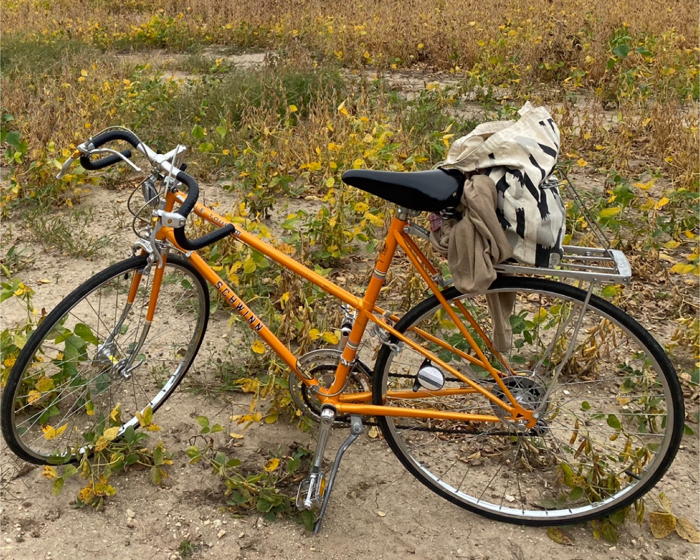 Schwinn Le Tour III Bicycle - Orange