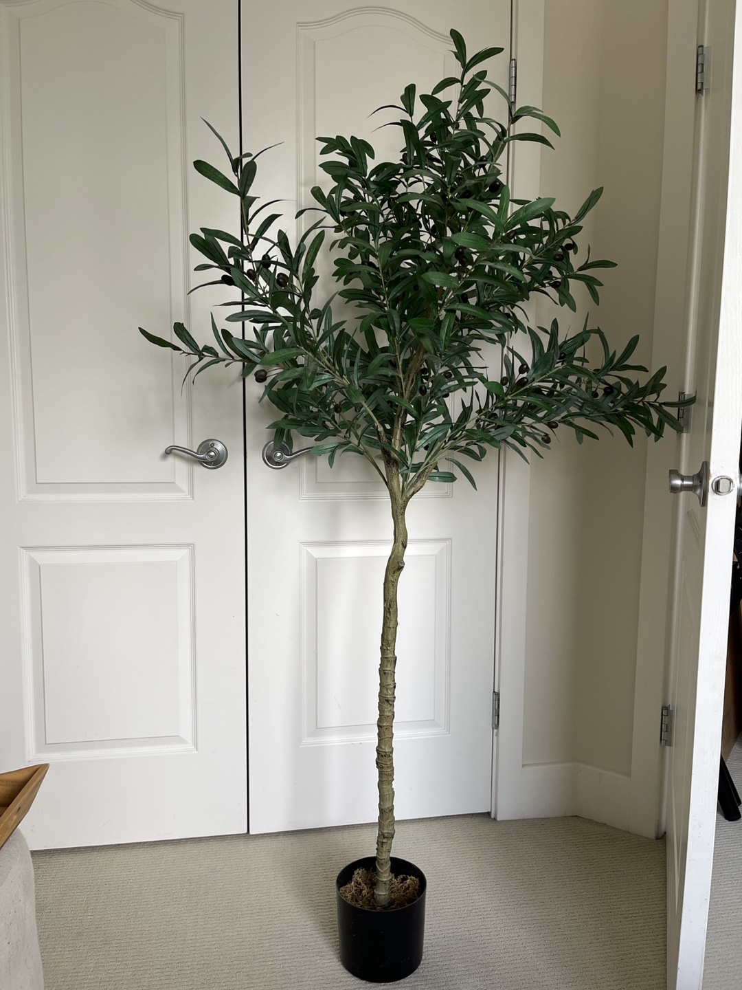 Faux Olive Tree - 5ft