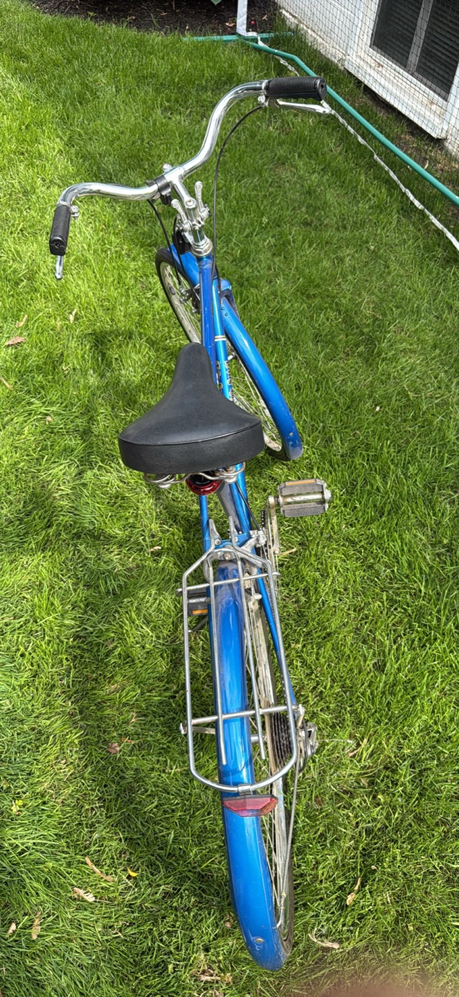 Brittany Free Spirit Bicycle - photo 5