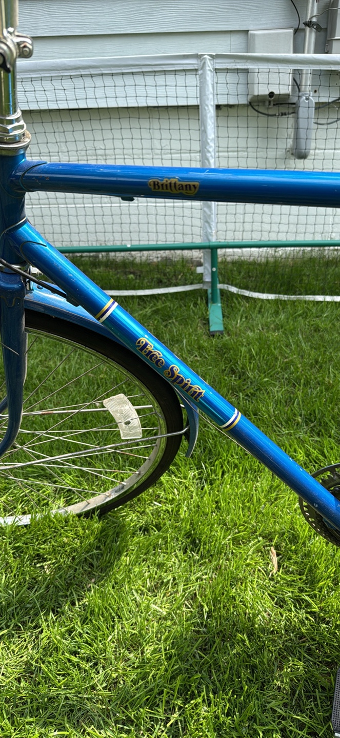 Brittany Free Spirit Bicycle - photo 4