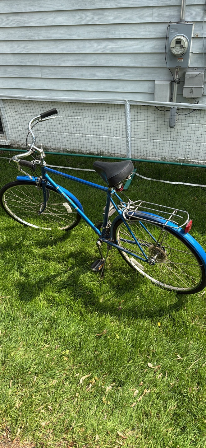 Brittany Free Spirit Bicycle