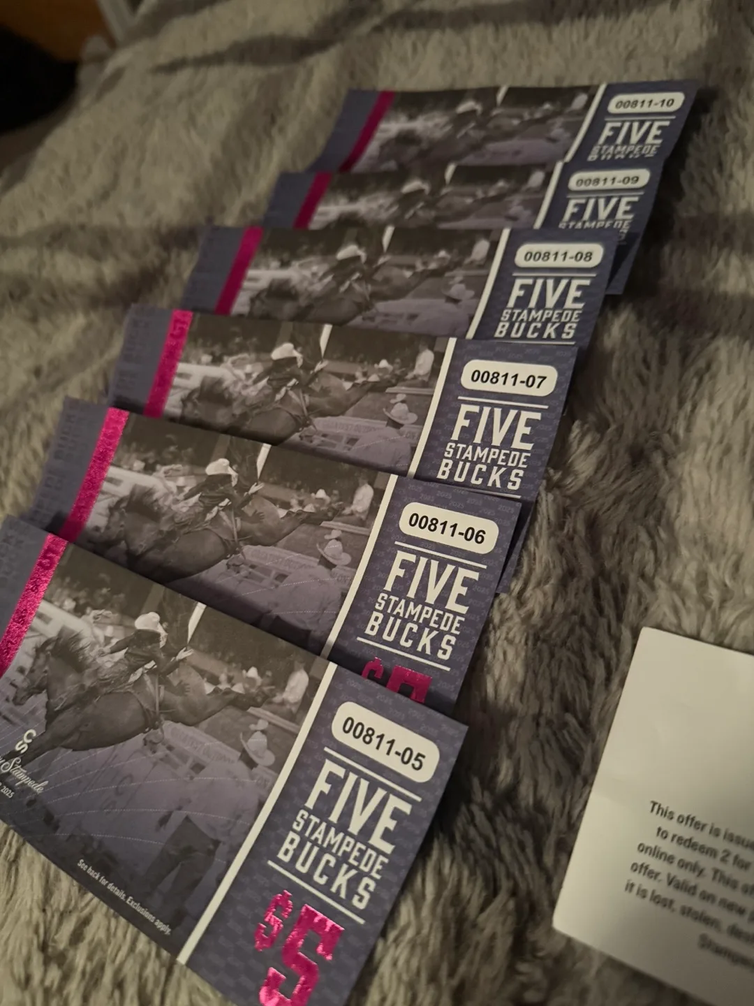 Stampede Ride Pass $30 Stampede Bucks& 2 for 1 Addmission image indicator(4)