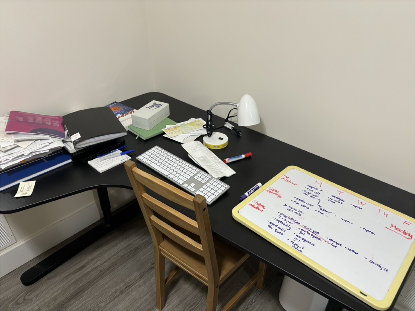 URGENT MOVING OUT - Ikea Bekant corner desk