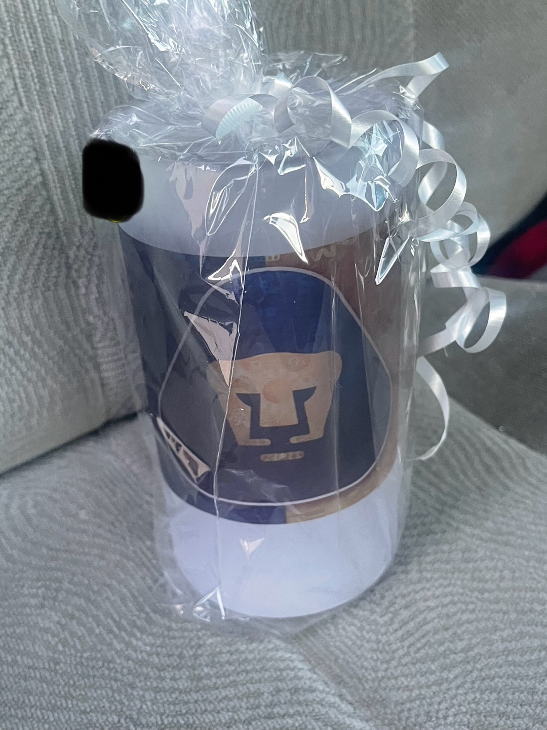 Pumas UNAM Mug