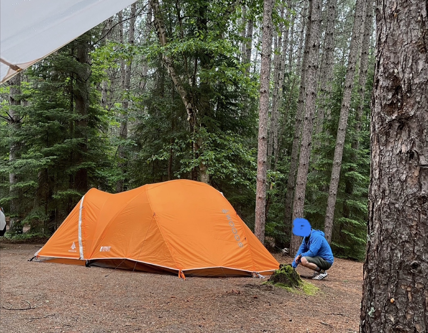 Camping Tent Woods Pinnacle 4 - 4 people