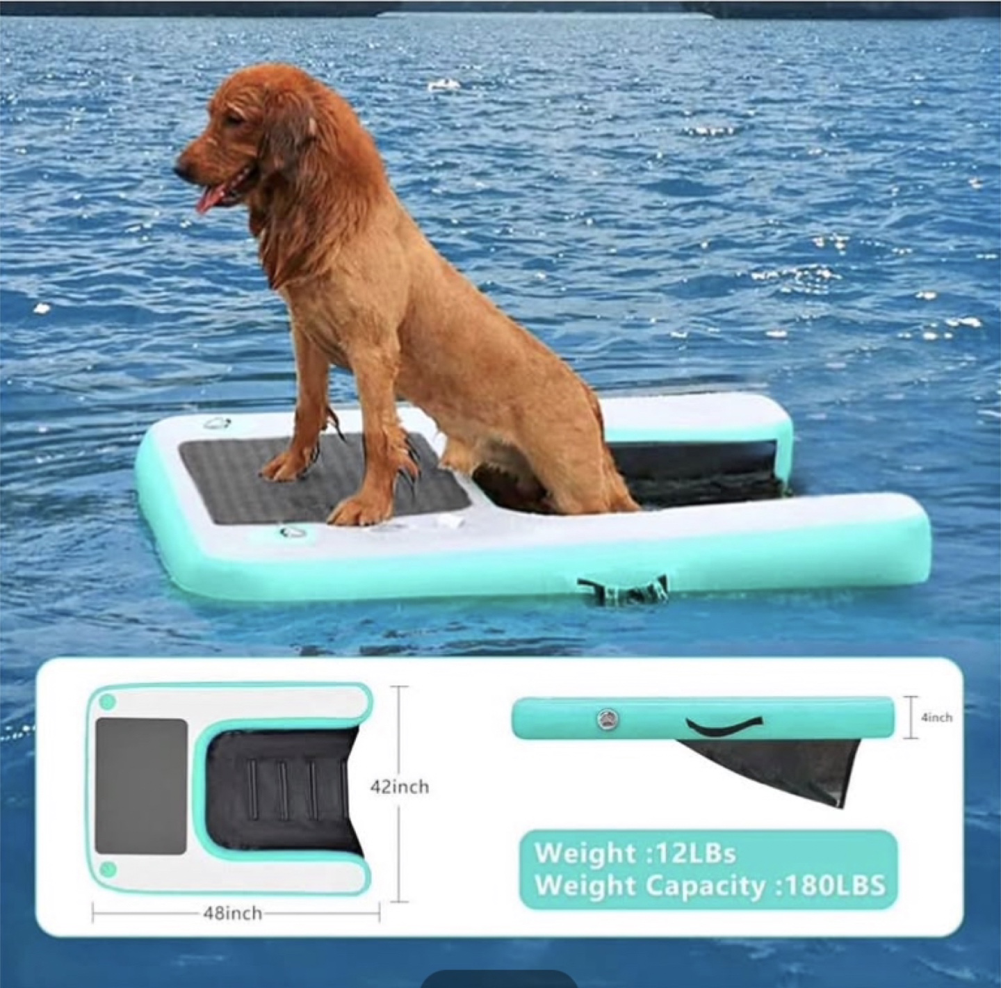 MTNLIFE Dog Pool Float - Like New!
