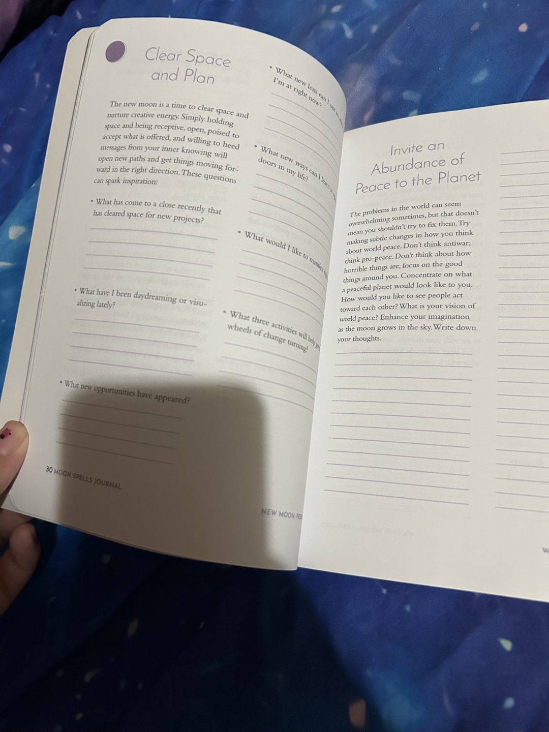 Moon Spells Journal by Diane Ahlquist - photo 3