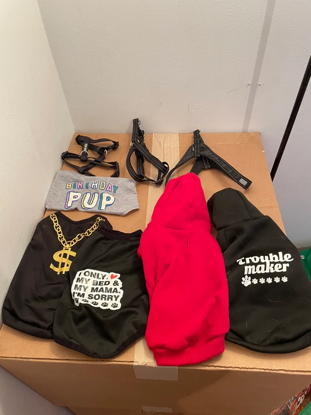Small Dog Harnesses & Clothes Lot thumbnail