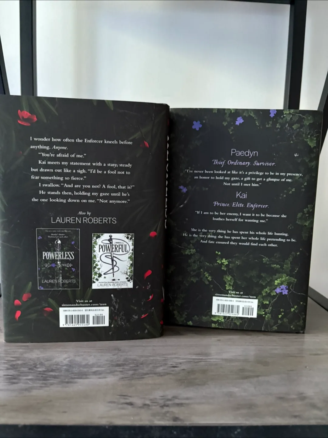 Powerless & Reckless by Lauren Roberts image indicator(3)