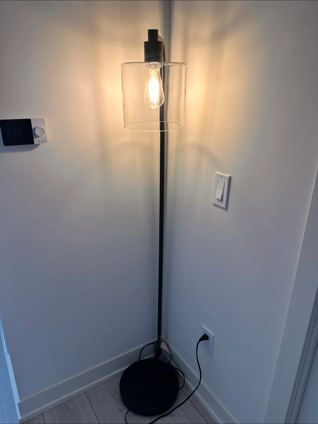 Black Floor Lamp - 58" Height with glass lampshade image indicator(4)