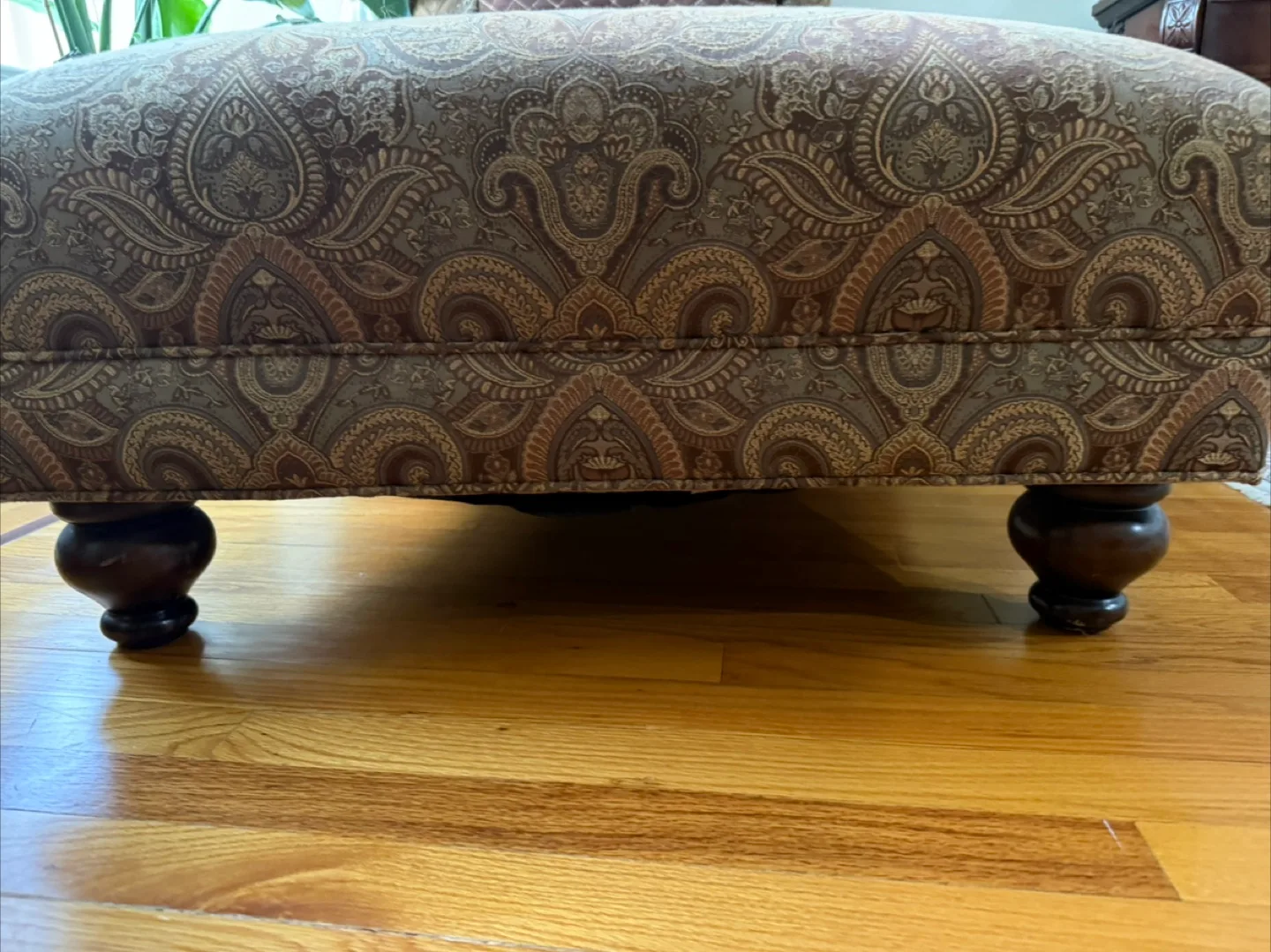 Paisley Chaise Lounge with Brown Cushion image indicator(6)