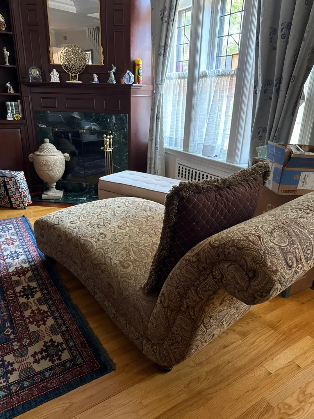 Paisley Chaise Lounge with Brown Cushion image indicator(2)