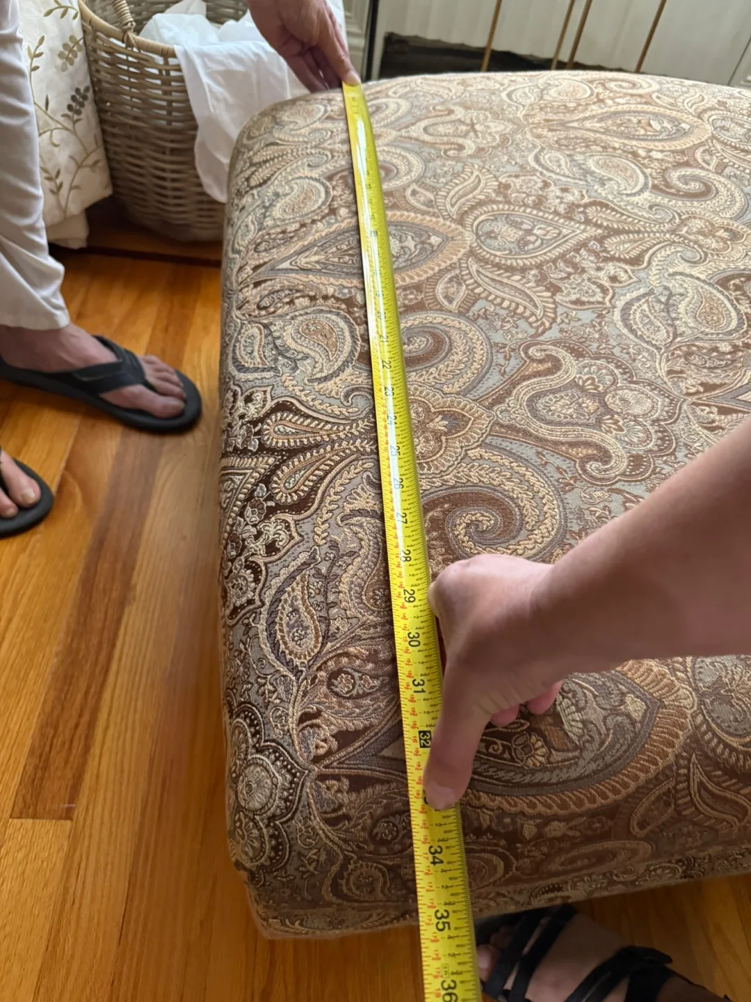 Paisley Chaise Lounge with Brown Cushion image indicator(4)