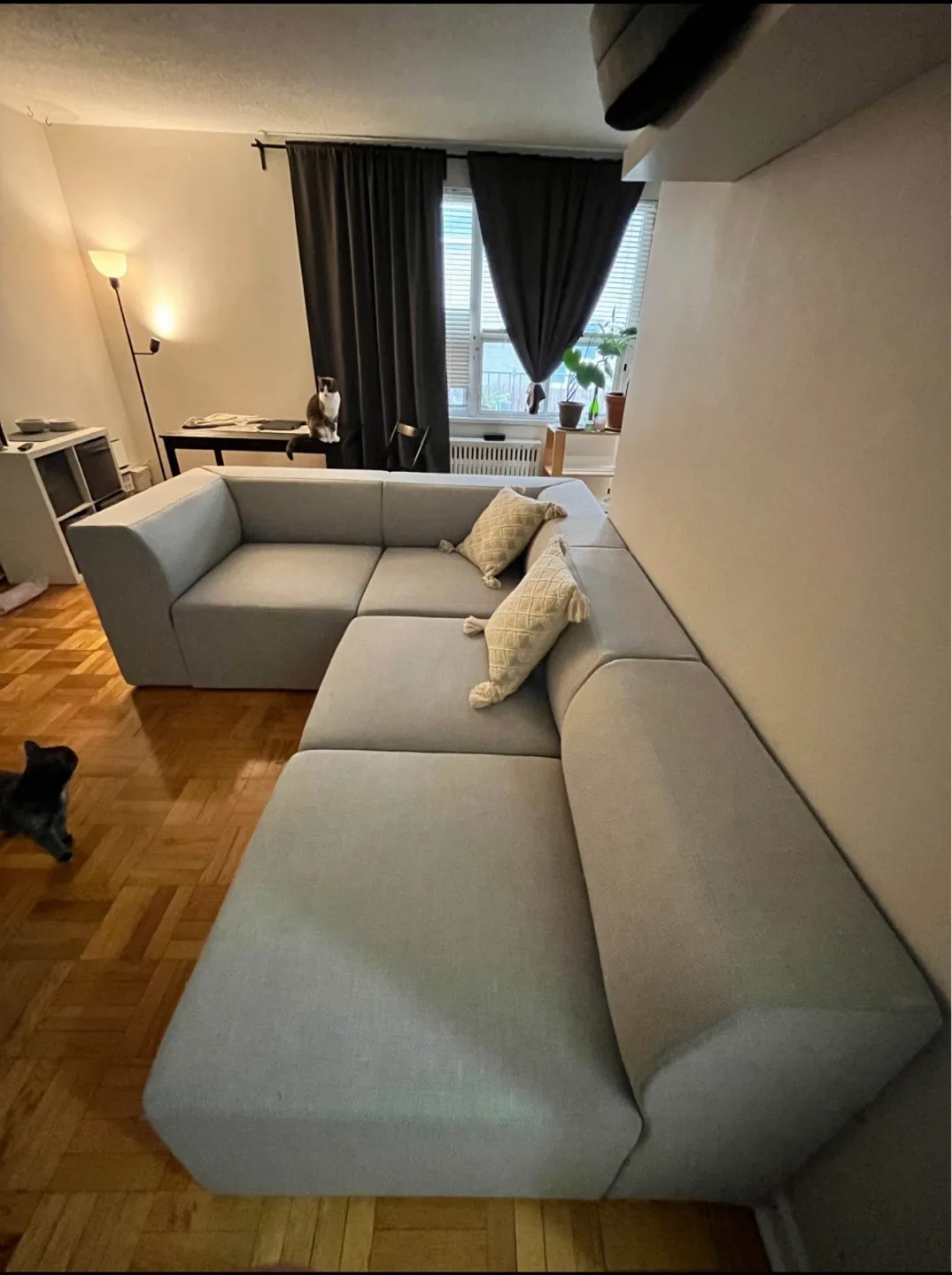 Light grey Cozey Atmosphere Modular sectional Sofa thumbnail