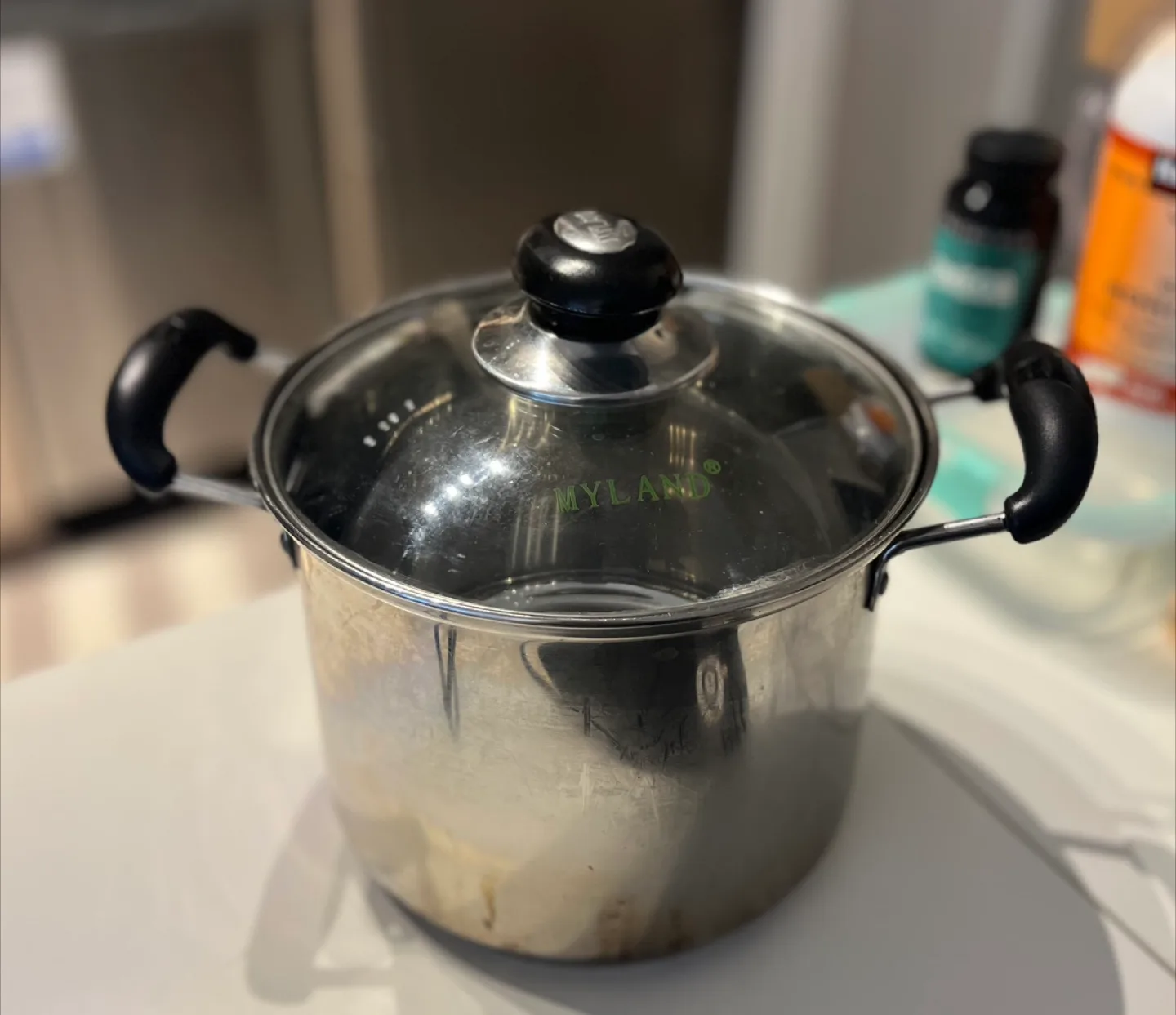 Myland Stainless Steel Stock Pot with Lid thumbnail