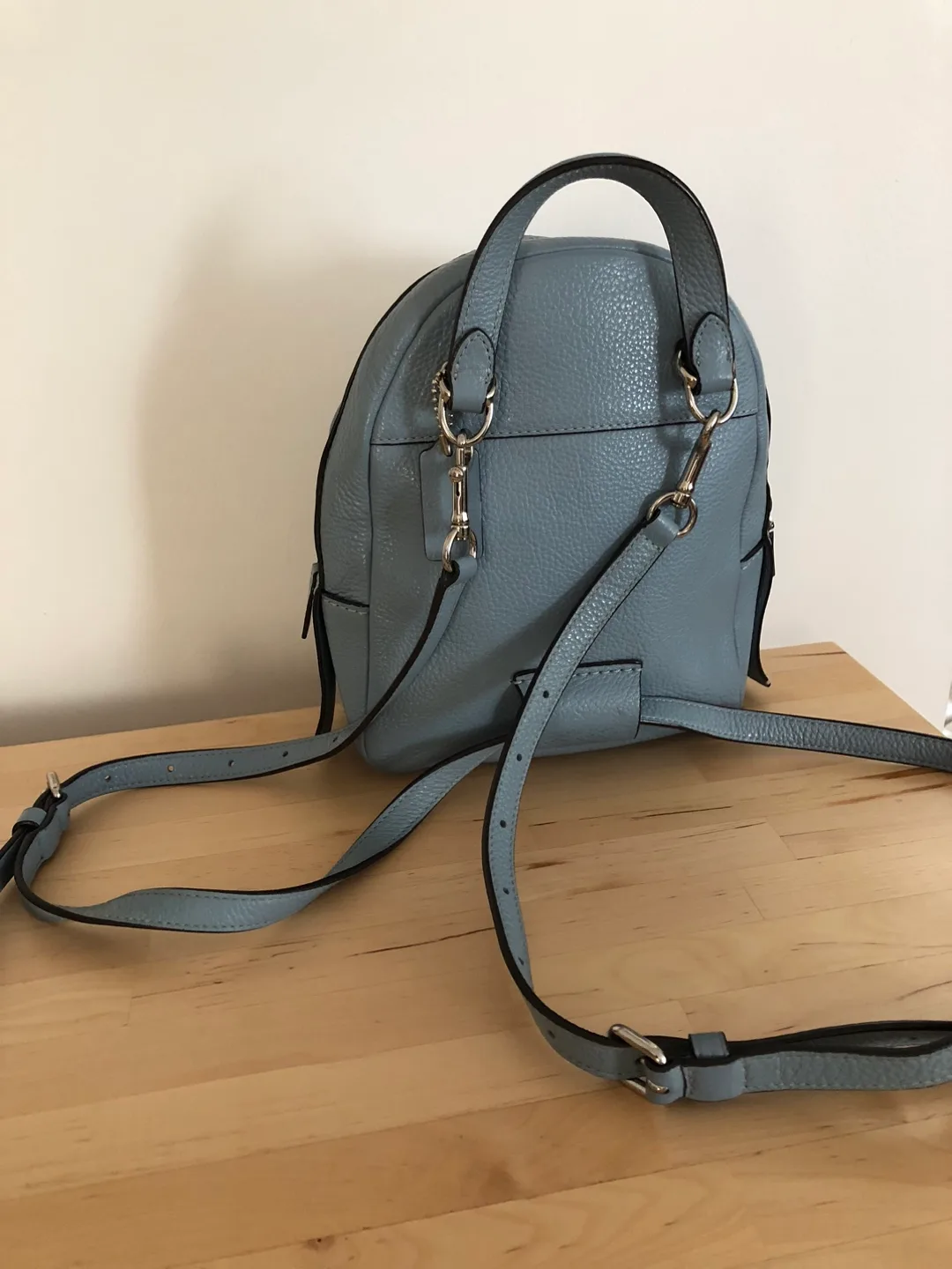 Coach Leather Backpack - Light Blue image indicator(2)