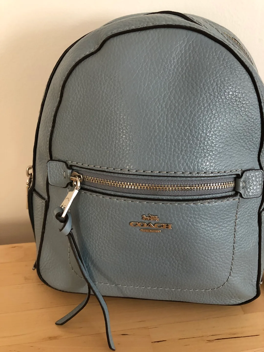 Coach Leather Backpack - Light Blue image indicator(4)