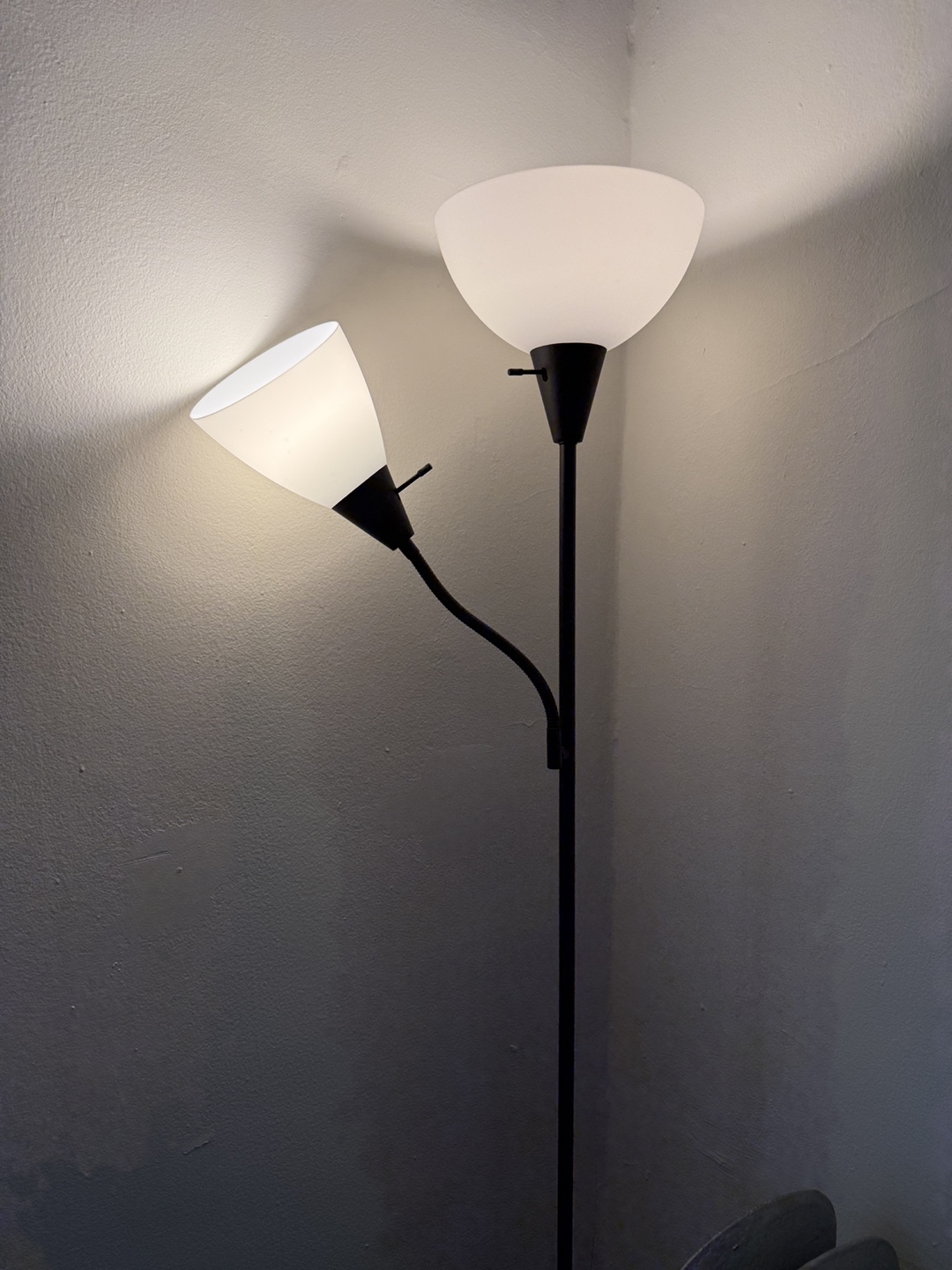 Floor Lamp with Two Lights