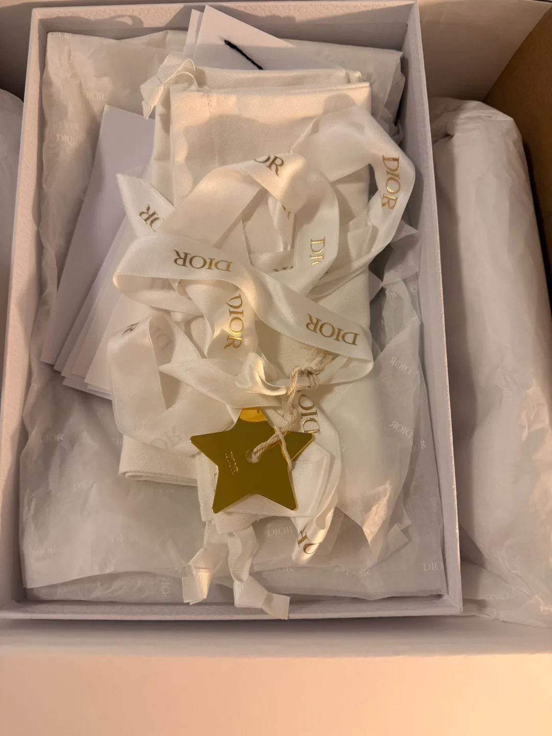 Dior Ballet Flats, Nude Colour image indicator(9)