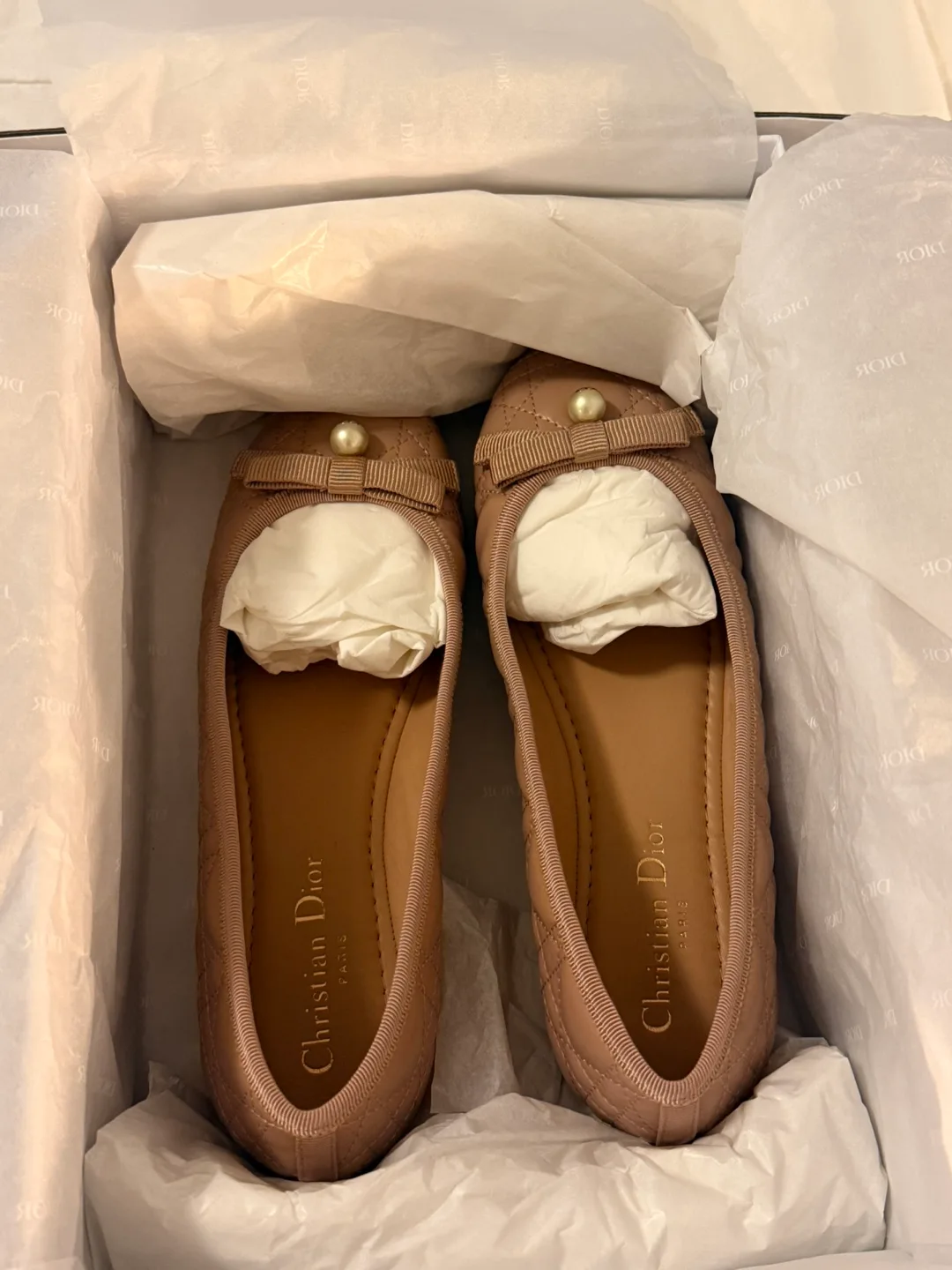 Dior Ballet Flats, Nude Colour image indicator(5)