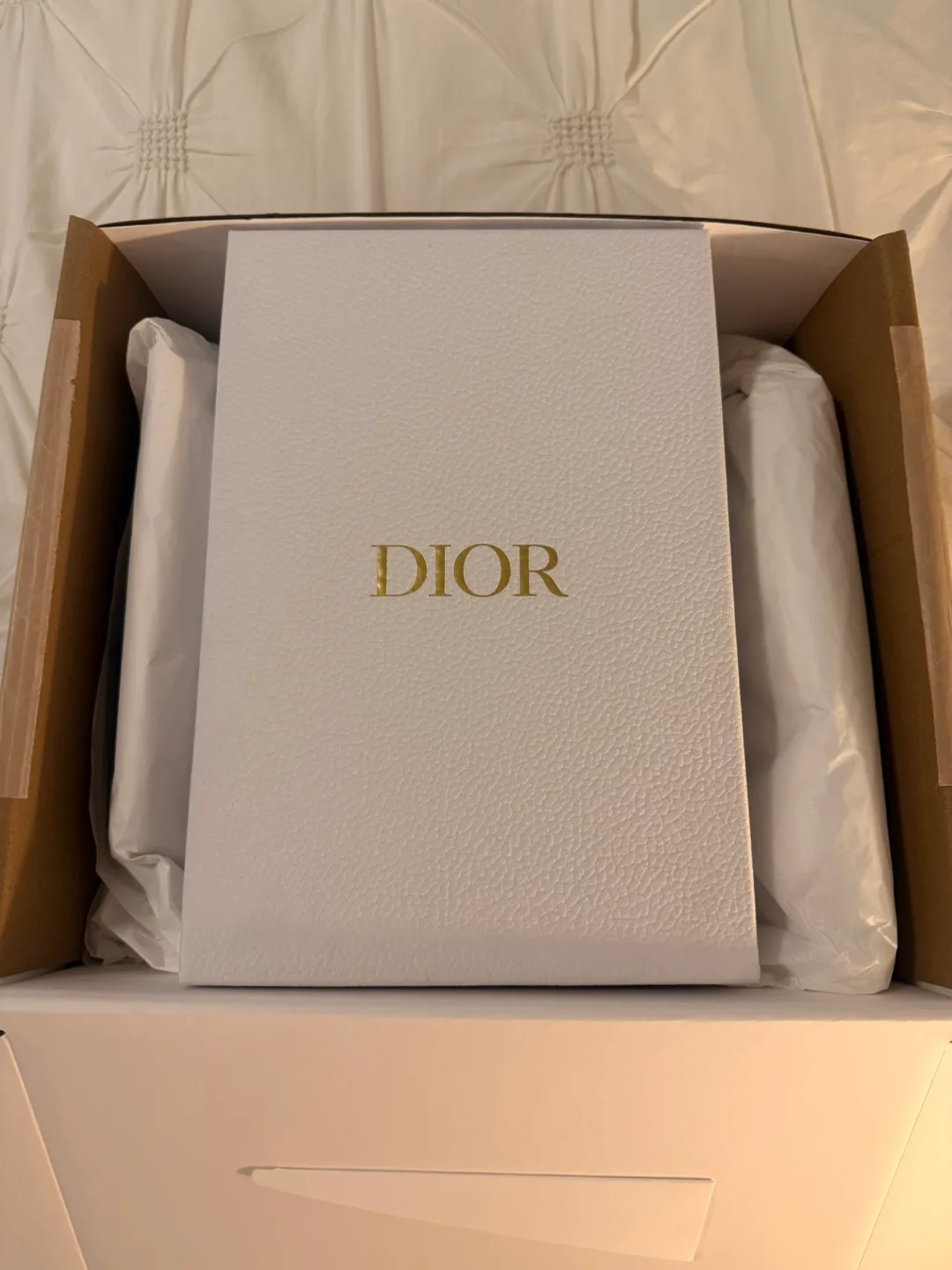 Dior Ballet Flats, Nude Colour image indicator(10)