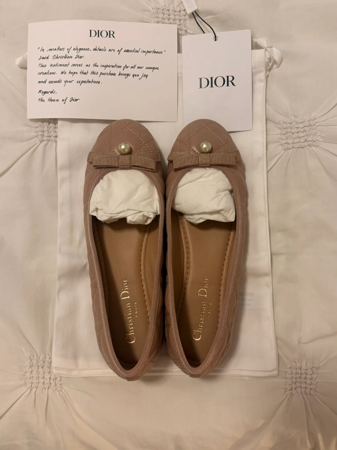 Dior Ballet Flats, Nude Colour image indicator(8)