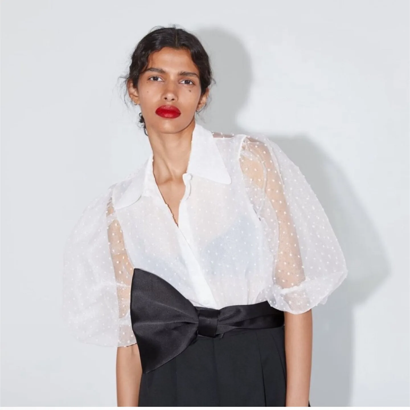 Zara White Swiss Dot Organza Blouse 🇨🇦 image indicator(2)